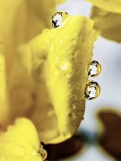 Prestige Moisture Complex - Normal To Dry Skin 13 Prestige Moisture Complex - Normal To Dry Skin -Glow Haven Shop 61c874aa0e5d9 K14 3