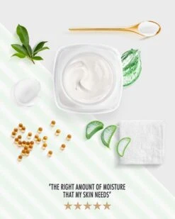 Purifying Mud Mask For Face & Body -Glow Haven Shop 61c8788827b4f Premier s Dead Sea facial cream Dead Sea Mud